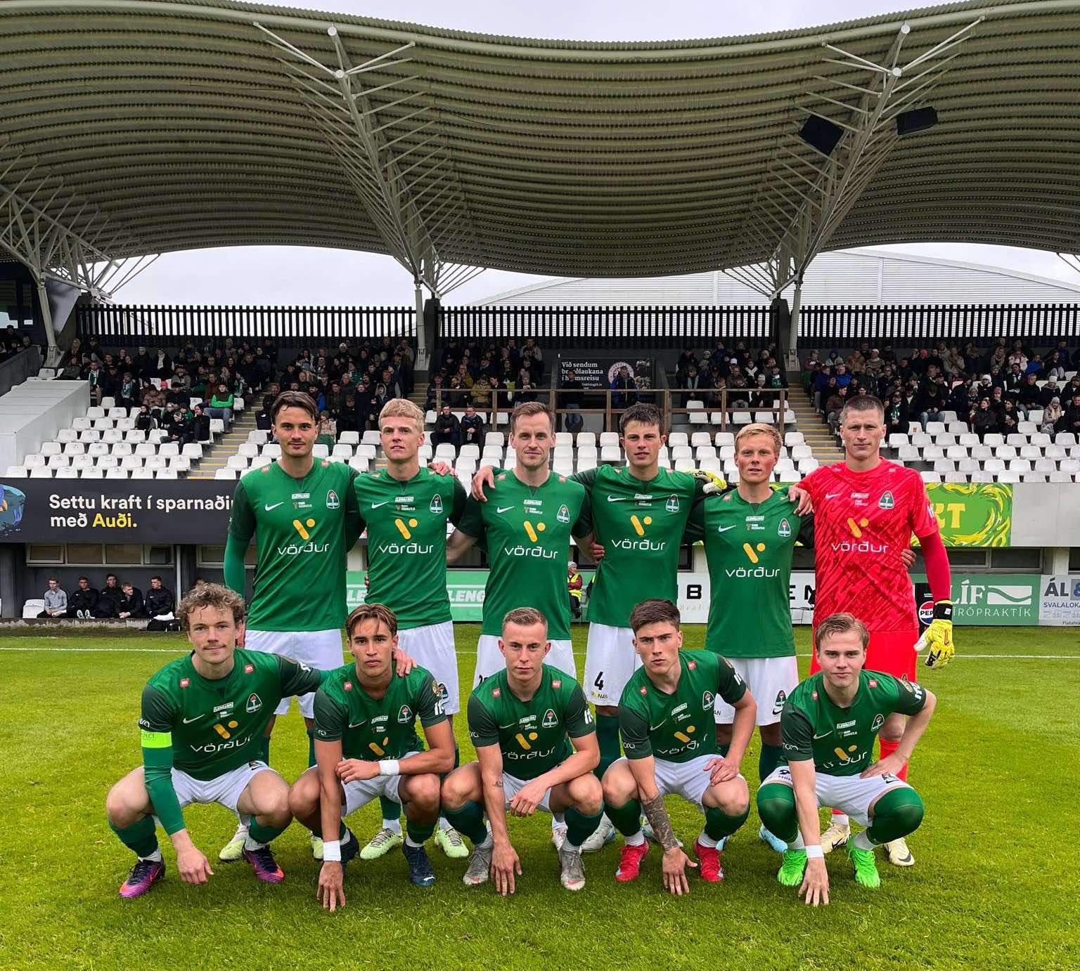 Krankleiki í Kaplakrika