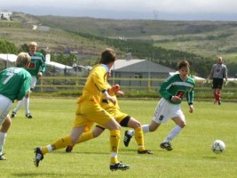 <p>
	2004 Fj&ouml;lnir - Brei&eth;ablik 1 - 2. &nbsp;H&ouml;r&eth;ur Bjarnason &iacute; leik vi&eth; Fj&ouml;lni &iacute; Grafarvogi &aacute;ri&eth; 2004.</p>
